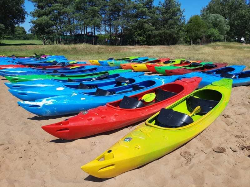 Rząd kolorowych kajaków ustawionych na piaszczystej plaży, w tle drzewa i trawiasta polana.